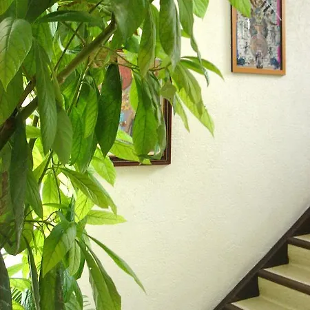 Bed and Breakfast Dakini's