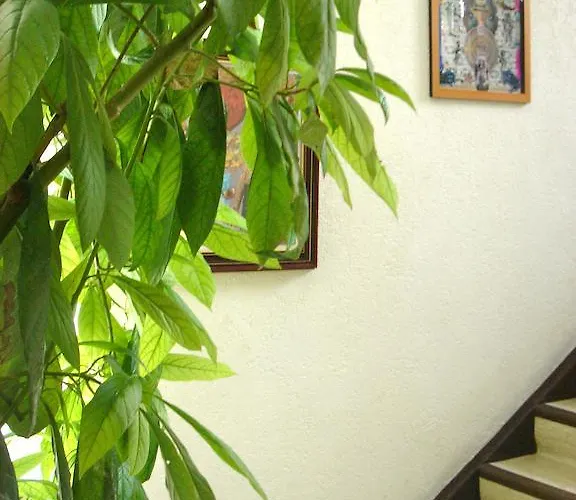 Bed & Breakfast Dakini's Bed & Breakfast